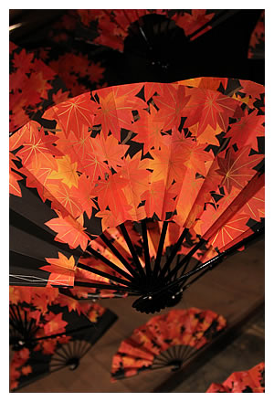 "Maple Leaves" Instalation of Folding fans